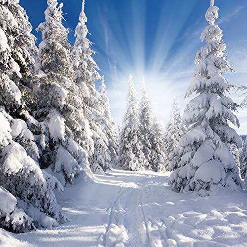 SJOLOON 10X10FT Winter Photography Backdrops Snow Covered Pine Photo Background Snow Photo Backdrops Studio Prop 11345