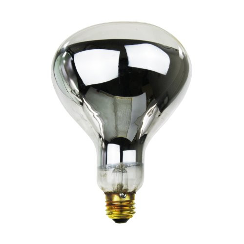 Sunlite 250R40/H/CL/TS Incandescent 250-Watt, Medium Based, R40 Heat Lamp Bulb, Tuff Skin Clear