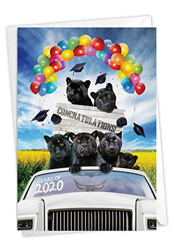 The Best Card Company Panther Mascot - Graduation Greeting Card with Envelope (4.63 x 6.75 Inch) - Panther Mascots Celebration C6321GDG-20