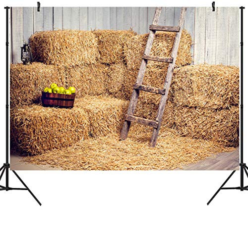 DULUDA 9X6FT Haystack Autumn Birthday Backdrop Harvest Countryside Village Rural Hay Bale Photo Photography Background Grain Pile Straw Pile Party Decorations Props Photo Booth Shoot Vinyl WXL70B DULUDA 9X6FT Haystack Autumn Birthday Backdrop Harvest Countryside Village Rural Hay Bale Photo Photography Background Grain Pile Straw Pile Party Decorations Props Photo Booth Shoot Vinyl WXL70B