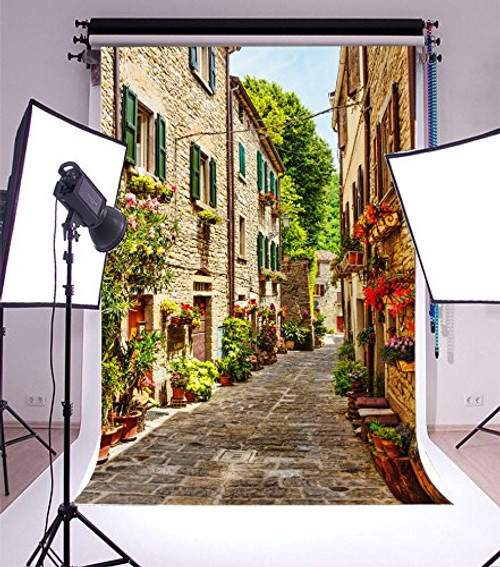 Laeacco 5x7FT Vinyl Backdrop Photography Background Narrow Street Old Town Italy European Characteristic Building Alley Bonsai Flowers and Green Vine Scenery Photo Portrait Backdrop Photo Studio Prop Laeacco 5x7FT Vinyl Backdrop Photography Background Narrow Street Old Town Italy European Characteristic Building Alley Bonsai Flowers and Green Vine Scenery Photo Portrait Backdrop Photo Studio Prop