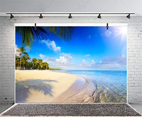 Baocicco 7x5ft Tropical Beach Backdrops Happy Birthday Backdrops Tropical Vacation Backdrops Tropical Island Photography Backgrounds Tropical Wedding Backdrop Palm Trees Summer Holiday Party backdrops