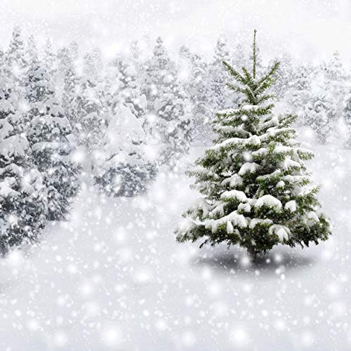 SJOLOON 10x10ft Winter Snow Tree Backdrop Christmas Photography Backdrop Photo Background Studio 11202