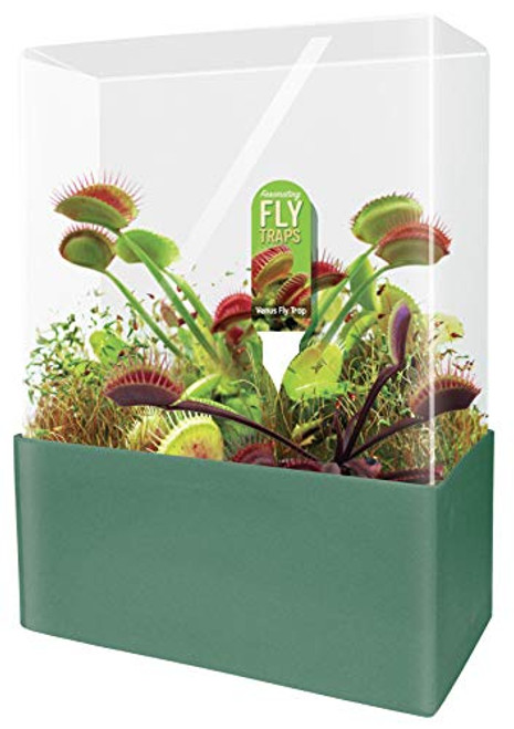 Unique Gardener Grow Your Own Venus Fly Trap - Complete Kids Terrarium Kit to Plant Fascinating Man Eating Fly Traps - Includes Everything Needed to Get Started Unique Gardener Grow Your Own Venus Fly Trap - Complete Kids Terrarium Kit to Plant Fascinating Man Eating Fly Traps - Includes Everything Needed to Get Started