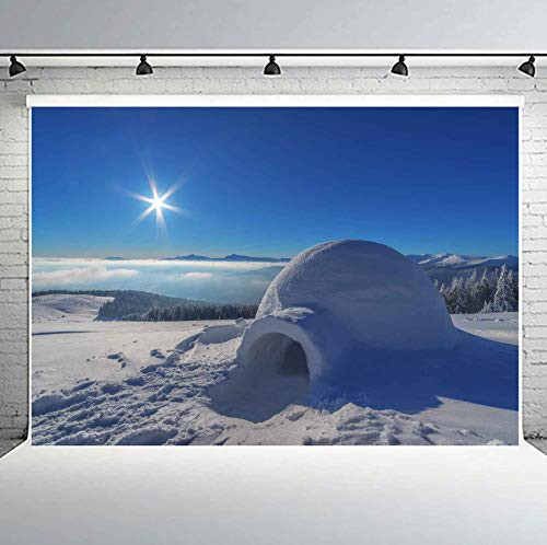 PHMOJEN Eskimo Igloo Photography Backdrop Vinyl 10x7ft Photo Studio Props Background QQPH176 PHMOJEN Eskimo Igloo Photography Backdrop Vinyl 10x7ft Photo Studio Props Background QQPH176