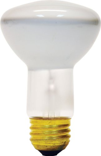 GE Lighting 73026 45-Watt 350-Lumen Track and Recessed R20 Incandescent Light Bulb, Inside Frost