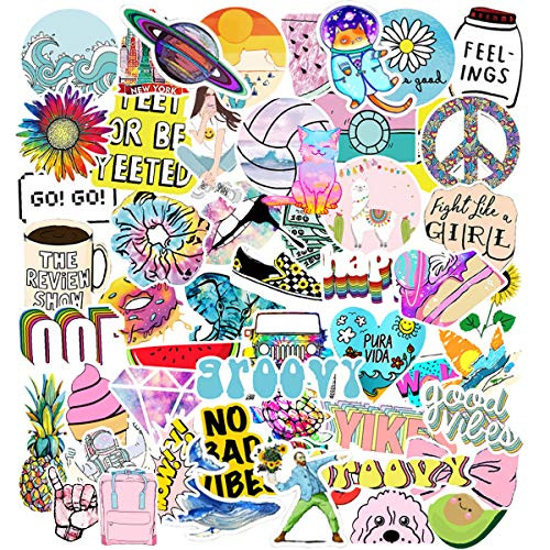 100 Pcs Vsco Stickers for Hydro Flask, Funny Cute Stickers for Teens, Girls, Adults -Colorful Vinyl Waterproof Water Bottle Stickers for Hydro flasks, Laptop, Phone, Snowboard, Other.