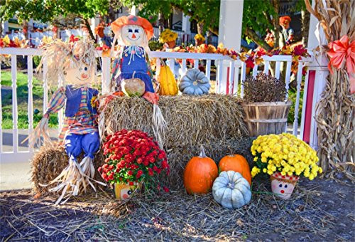 AOFOTO 7x5ft Autumn Harvest Thanksgiving Background Rural Pumpkins Scarecrows Straw Haystack Photography Backdrop Fall Countryside Farm Flower Kid Child Portrait Photo Studio Props Vinyl AOFOTO 7x5ft Autumn Harvest Thanksgiving Background Rural Pumpkins Scarecrows Straw Haystack Photography Backdrop Fall Countryside Farm Flower Kid Child Portrait Photo Studio Props Vinyl