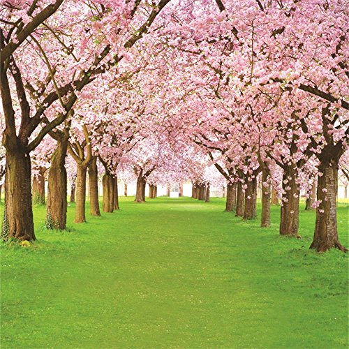 AOFOTO 8x8ft Spring Cherry Flower Photography Backdrop Floral Blossom Tree Background Park Natural Scenery Green Grass Pathway Photo Studio Props Adult Girl Woman Lady Mother Portrait Vinyl Wallpaper AOFOTO 8x8ft Spring Cherry Flower Photography Backdrop Floral Blossom Tree Background Park Natural Scenery Green Grass Pathway Photo Studio Props Adult Girl Woman Lady Mother Portrait Vinyl Wallpaper