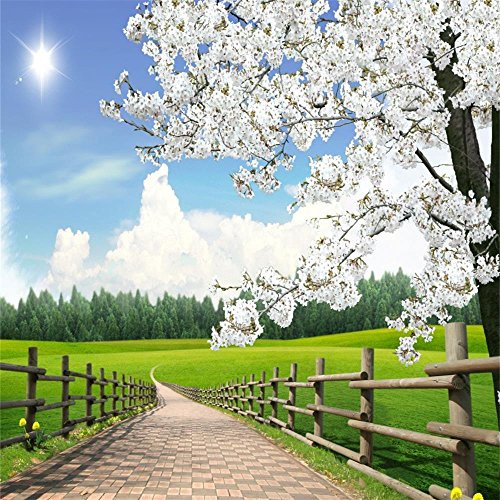 AOFOTO 10x10ft Spring Farm Scenery Photography Background Blossom Flower Tree Backdrop Rural Fence Walkway Lawn Sunny Blue Sky Park Outdoor Natural Landscape Photo Studio Props Adult Boy Girl Portrait AOFOTO 10x10ft Spring Farm Scenery Photography Background Blossom Flower Tree Backdrop Rural Fence Walkway Lawn Sunny Blue Sky Park Outdoor Natural Landscape Photo Studio Props Adult Boy Girl Portrait