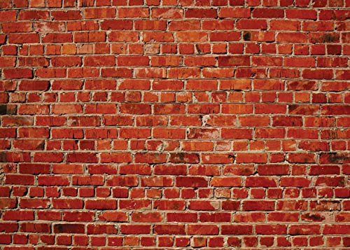 AIIKES 8x6ft Rustic Red Brick Wall Backdrop Baby Birthday Photography Background for Party Table Wall Home Decoration Banner Baby Shower Wedding Graduation Backdrops Photo Booth Studio Props 11-744