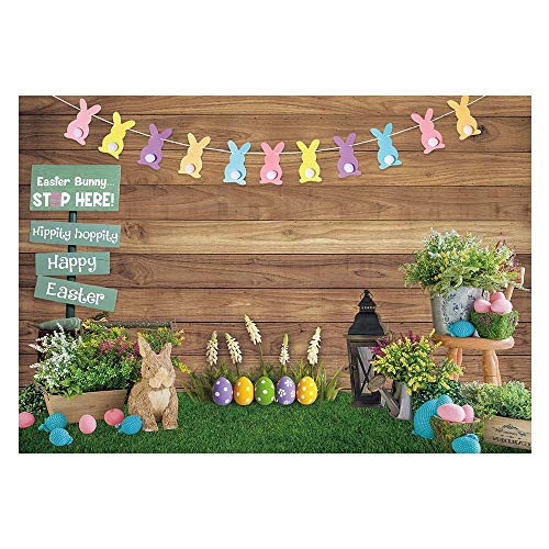 Funnytree Spring Happy Easter Theme Photography Backdrop Rustic Wooden Wall Background Bunny Rabbit Colorful Eggs Grass Floral Baby Kids Portrait Party Decor Banner Photo Booth Studio 7x5ft