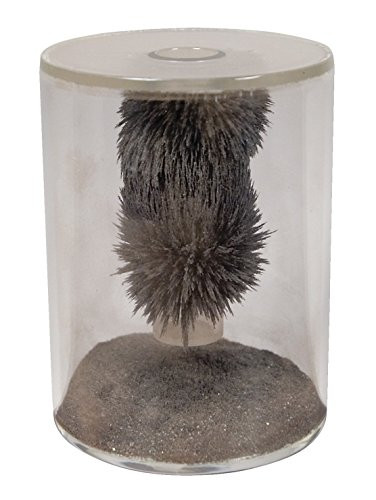 Delta Education 130-6315 Magnetic Field Demonstrator, 4" Height