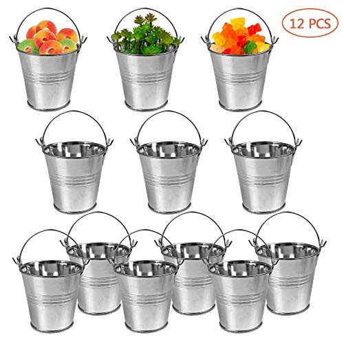 12 Pack Mini Metal Buckets Small Metal Pail Tinplate Tin Pails Containers with Handles for Party Favors and Garden Decorations 3 Inch