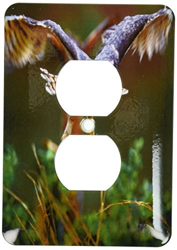 3dRose lsp_89310_6 Georgia, Pine Mtn, Callaway Gardens Barred Owl Us11 Bja0011 Jaynes Gallery 2 Plug Outlet Cover