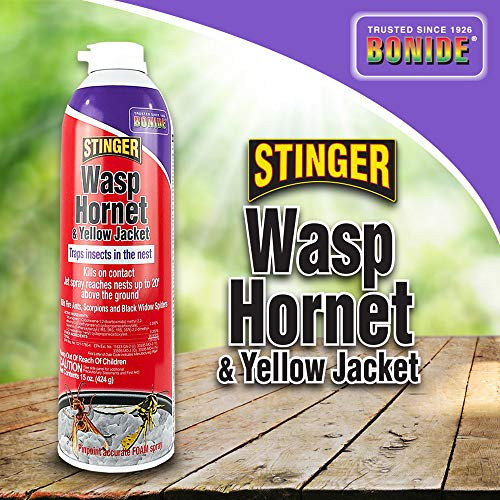 Bonide Products INC 629 Products Hornet and Wasp Killer, 15 oz, Brown/A