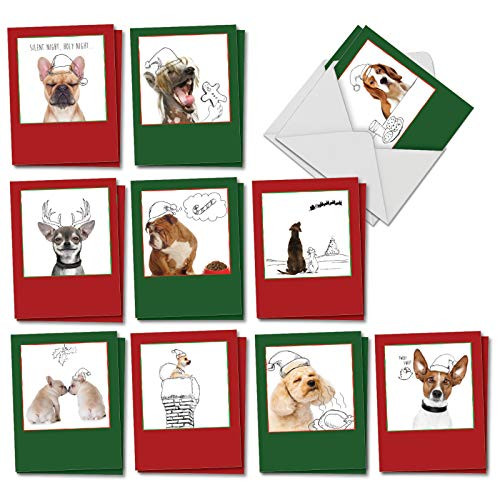 Holiday Dogs & Doodles - 20 Assorted Funny Blank Note Cards with Envelopes (4 x 5.12 Inch) - Cute Pet Dog Illustrations and Photos - Christmas Greeting Card Set (10 Designs, 2 Each) AM6582XSB-B2x10