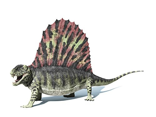 Posterazzi 3D Rendering of a Dimetrodon Dinosaur Side View Poster Print, (16 x 12)