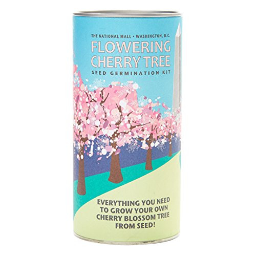 Flowering Cherry (Washington Design) | Tree Seed Grow Kit | The Jonsteen Company