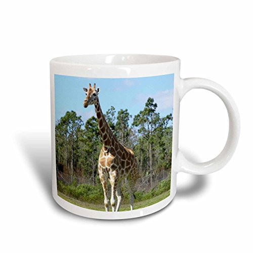 3dRose Giraffe Outdoor Ceramic Mug, 15-Ounce