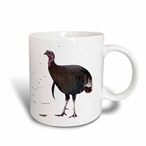 3dRose 173720_1 Wild Turkey Ceramic Mug, 11 oz, White