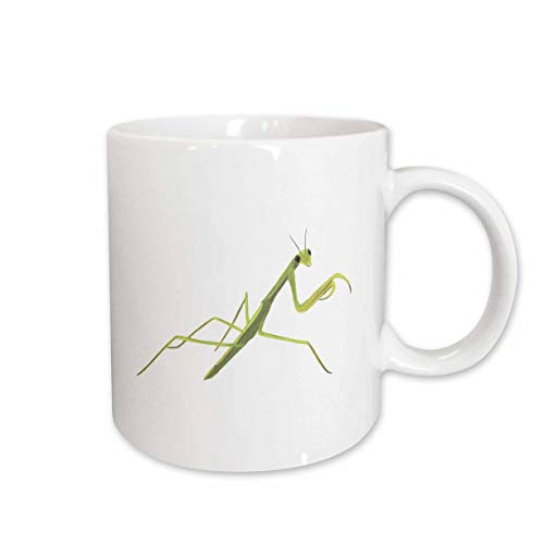 3dRose 165772_1 Ceramic Mug, 11 oz, White