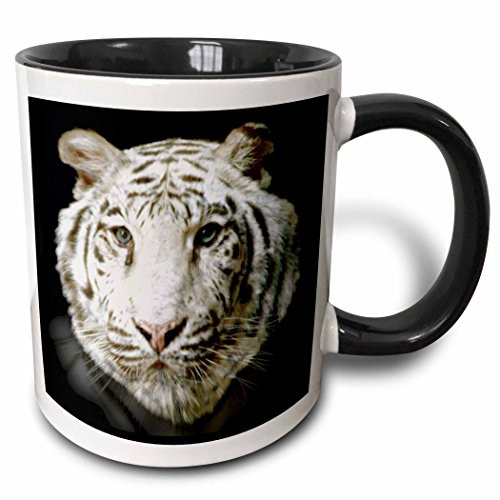 3dRose mug_36130_4"White tiger full head painting in digital oils." Two Tone Black Mug, 11 oz, Multicolor