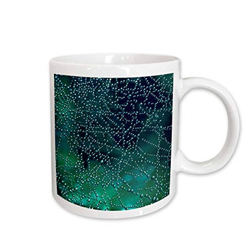 3dRose Dew Drops on Spider Web-AB01 MGI0003 Mark Gibson Ceramic Mug, 15-Ounce