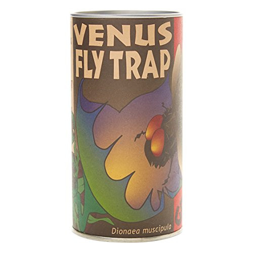 Venus Fly Trap | Carnivorous Plant Grow Kit | The Jonsteen Company Venus Fly Trap | Carnivorous Plant Grow Kit | The Jonsteen Company