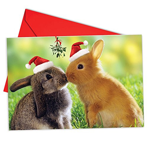 12 'Christmas Animal Smackers Bunny' Adorable Boxed Christmas Greeting Cards 4.63 x 6.75 inch, Merry Xmas Note Cards for Holidays, Gifts, Bunny Humor, Notecard Stationery (w/Envelopes) B6594EXSG 12 'Christmas Animal Smackers Bunny' Adorable Boxed Christmas Greeting Cards 4.63 x 6.75 inch, Merry Xmas Note Cards for Holidays, Gifts, Bunny Humor, Notecard Stationery (w/Envelopes) B6594EXSG