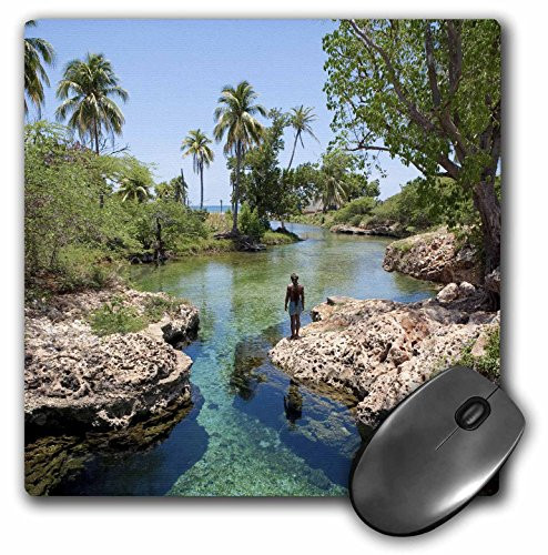 3dRose Alligator Hole, Black River Town, Jamaica, Caribbean Mouse Pad, 8" x 8" (mp_75630_1)