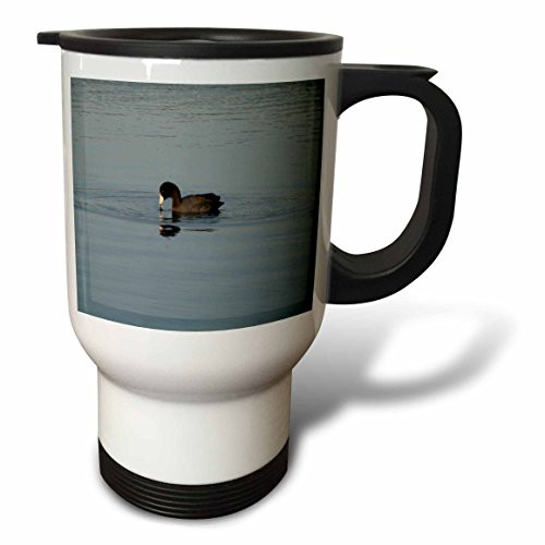 3dRose American Coot Stainless Steel Travel Mug, 14-Ounce 3dRose American Coot Stainless Steel Travel Mug, 14-Ounce