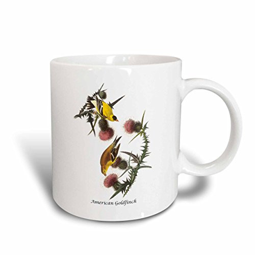 3dRose American Goldfinch by John James Audubon Ceramic Mug, 11-Ounce