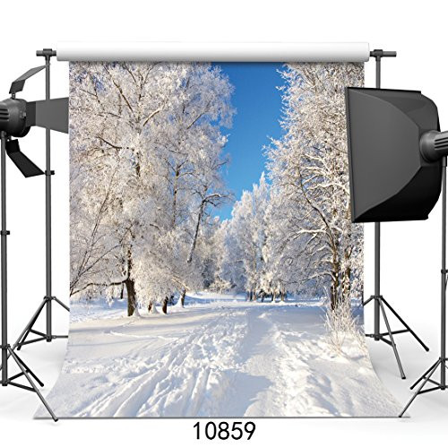 SJOLOON 10x10ft Winter Snow Backdrop for Photography White Frozen Snow Backdrops Forest Tree Photo Backdrop 10859
