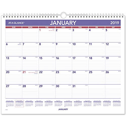 AT-A-GLANCE 2019 Monthly Wall Calendar, 15" x 12", Medium, Wirebound (PM828)