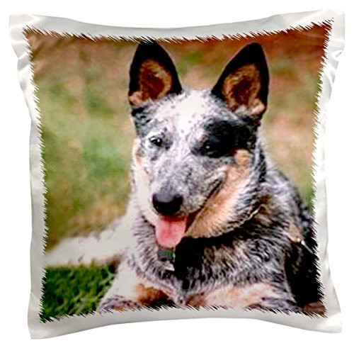 3dRose pc_738_1 Australian Cattle Dog-Pillow Case, 16 by 16"