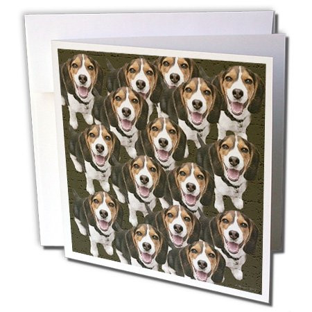 3dRose Beagle Pattern - Greeting Cards, 6 x 6 inches, set of 6 (gc_48740_1)