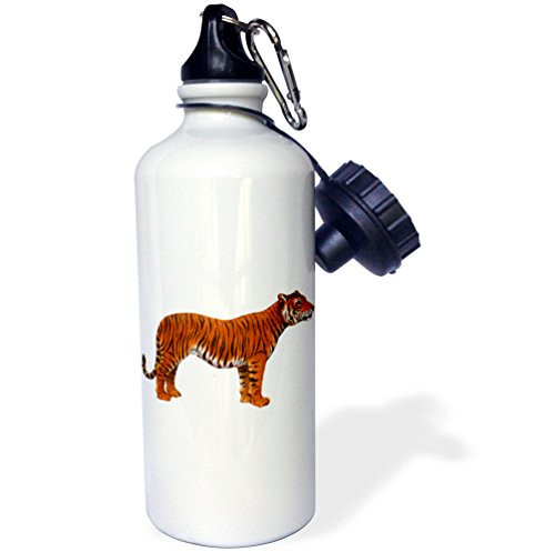 3dRose wb_124285_1"Bengal Tiger" Sports Water Bottle, 21 oz, White
