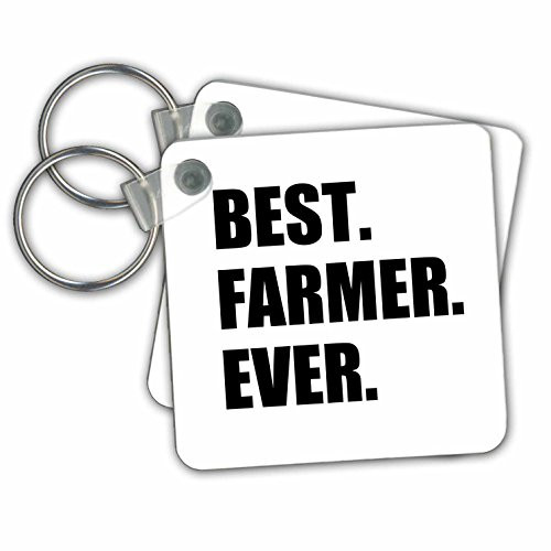 3dRose Best Farmer Ever 2.25 x 2.25 Inches Key Chains, Set of 2 (kc_184997_1)
