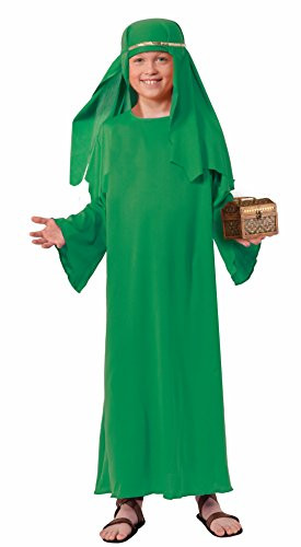 Forum Novelties Biblical Times Shepherd Green Costume Robe, Child Small