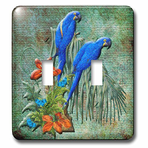 3dRose lsp_108107_2 Bird Art with Pretty Parrots and Flowers on Green Background Light Switch Cover 3dRose lsp_108107_2 Bird Art with Pretty Parrots and Flowers on Green Background Light Switch Cover