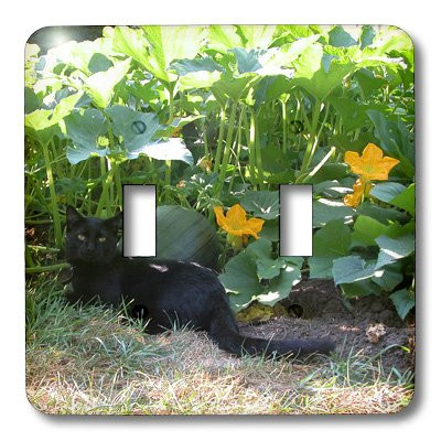 3dRose lsp_29595_2 Black Cat In The Pumpkin Patch Double Toggle Switch