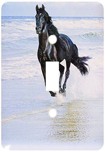 3dRose lsp_38919_1 Horse Racing On Ocean Beach Single Toggle Switch, Black/White