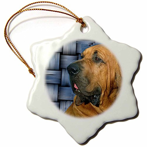 3dRose Bloodhound Snowflake Porcelain Ornament, 3-Inch