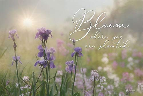 Posterazzi PDXLD1325SMALL Bloom Where You are Planted Photo Print, 24 x 15, Multi