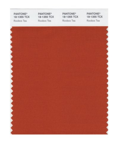 Pantone 18-1355 TCX Smart Color Swatch Card, Rooibos Tea