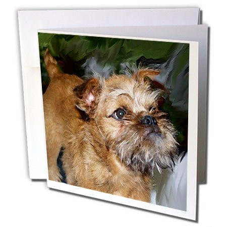 3dRose Brussels Griffon - Greeting Cards, 6 x 6 inches, set of 12 (gc_4445_2)