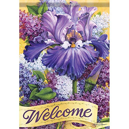 Carson Home Accents 49233 Classic Garden Flag, Multi-Color