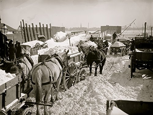 Carts haul snow and ice to the river for dumping in the East River in new York horse drawn carts are loaded Poster Print (18 x 24)