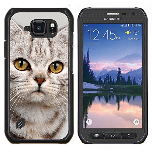 STPlus Cute Cat Kitten Animal Hard Cover Case for Samsung Galaxy S6 Active